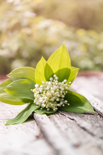 Bouquet de muguet sur un fond en bois. copie espace