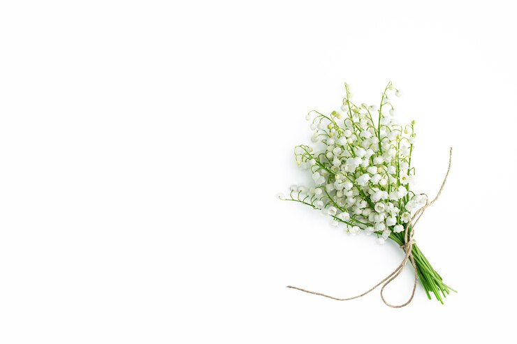 Bouquet de muguets sur mur blanc. Mise à plat, vue de dessus, espace de copie. mur floral avec des fleurs de printemps. Style de mode minimaliste
