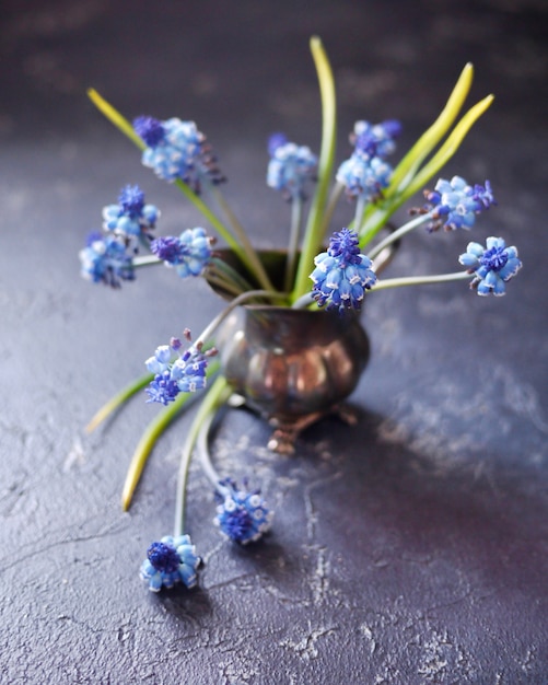 Bouquet de muscles dans un petit pot vintage