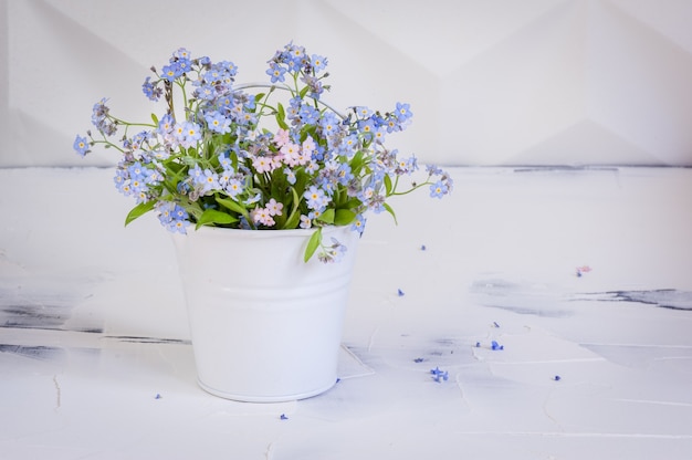 Bouquet de myosotis dans un seau en métal sur blanc