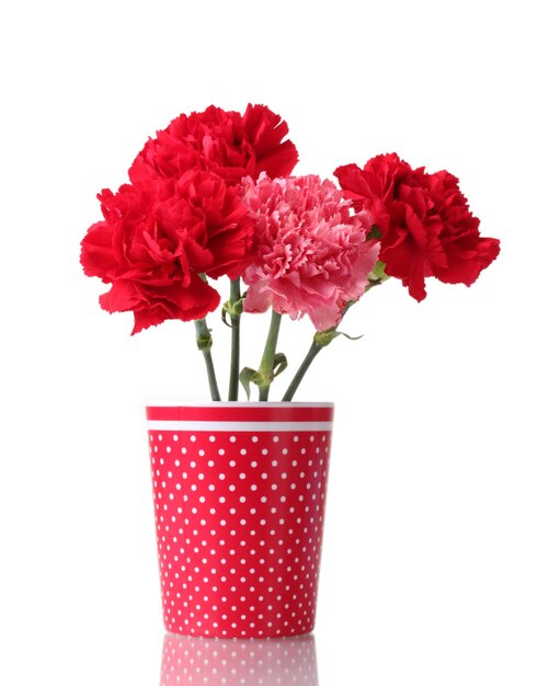 Bouquet d'oeillets dans un verre isolé sur blanc