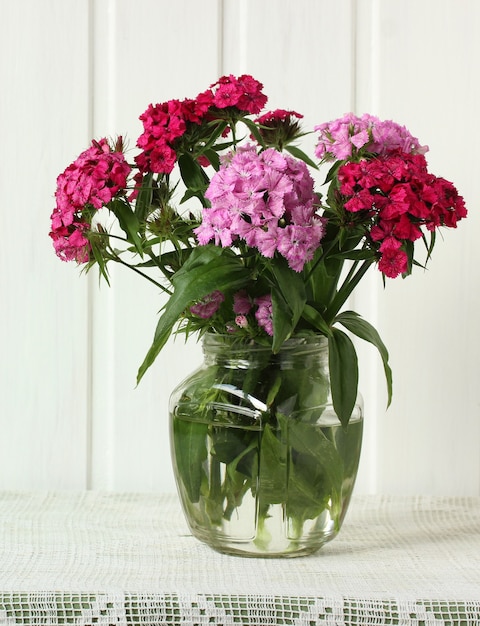 Bouquet d'oeillets turc dans un bocal en verre sur fond blanc