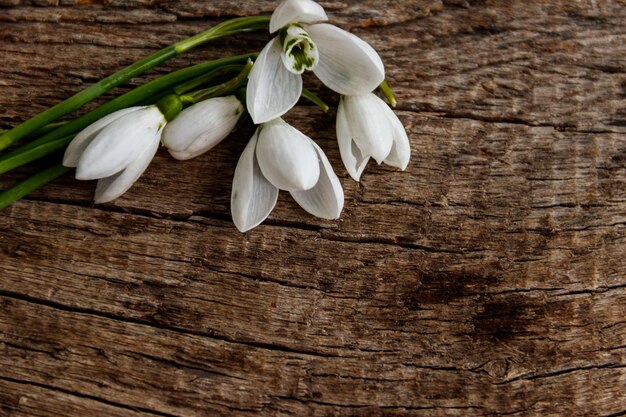 Bouquet de perce-neige blancs sur fond de bois rustique