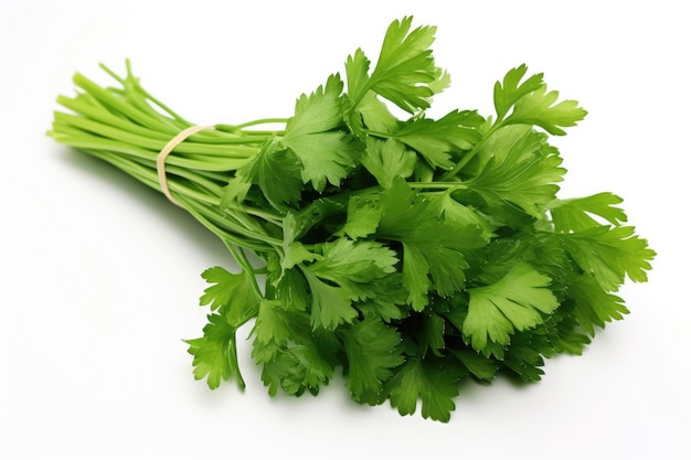 Un bouquet de persil frais sur un fond blanc