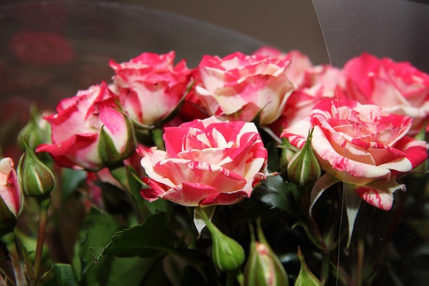 Bouquet de petites roses avec des boutons