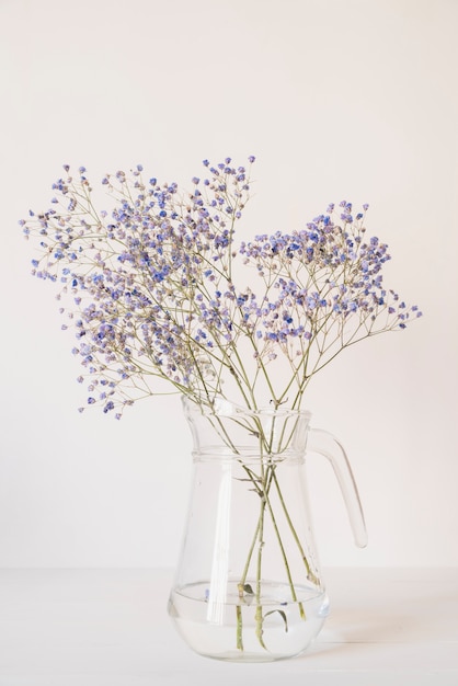 Photo bouquet de pichet en verre de petites fleurs bleues