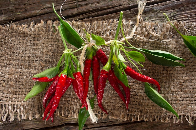 Bouquet de piment fort