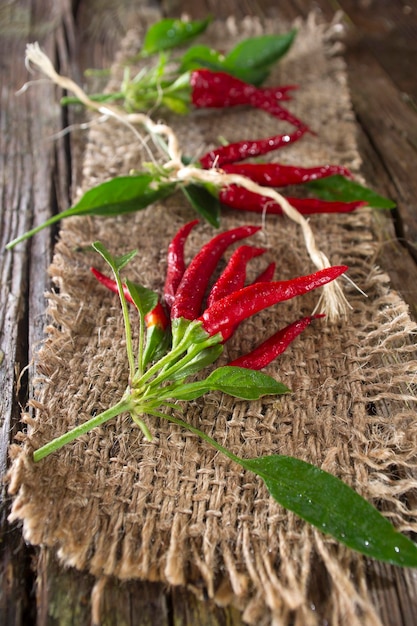 Bouquet de piment fort