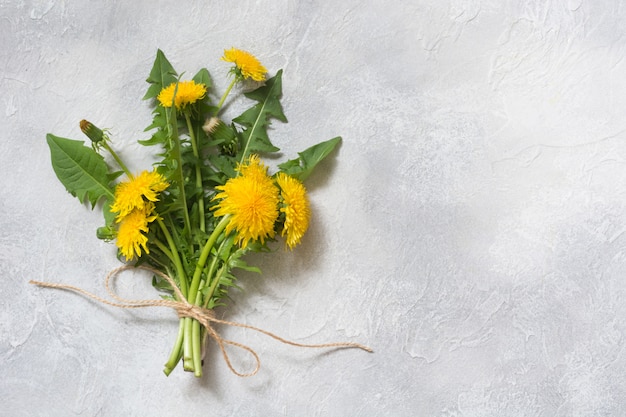 Bouquet de pissenlit jaune frais sur fond clair