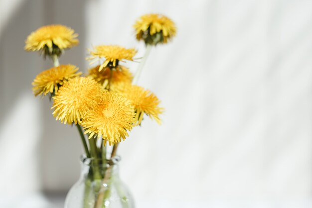 Bouquet de pissenlits jaunes,