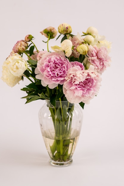 Bouquet de pivoines roses dans un vase.