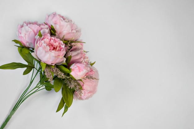 Bouquet de pivoines roses sur fond blanc copie cpace