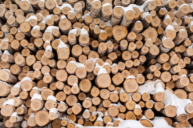 Bouquet De Plusieurs Rondins De Bouleau Recouvert D'une Grande Couche De Neige