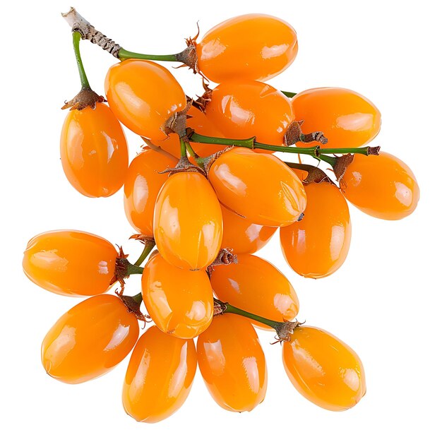 un bouquet de poivrons orange avec le mot " rouge " sur eux