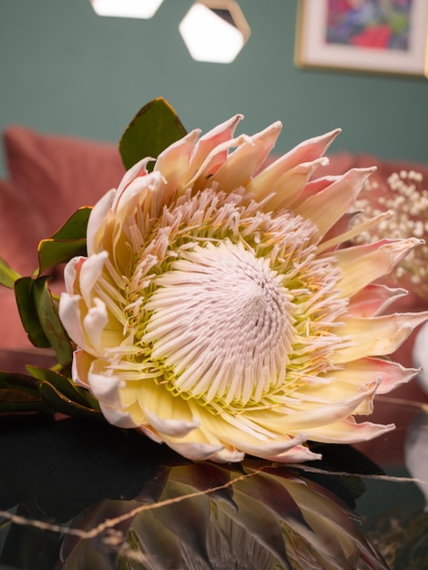 Bouquet de printemps coloré en gros plan avec de nombreuses gelées de fleurs différentes.