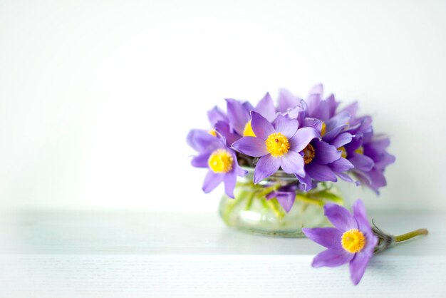 Bouquet printemps fleurs violettes dans un vase Primevères Fleurs herbe endormie perce-neige cloches bleues violettes