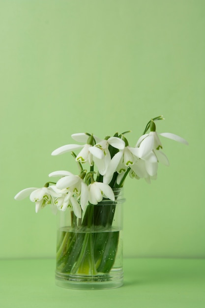 Bouquet de printemps de perce-neige blancs dans vass. Fond vert