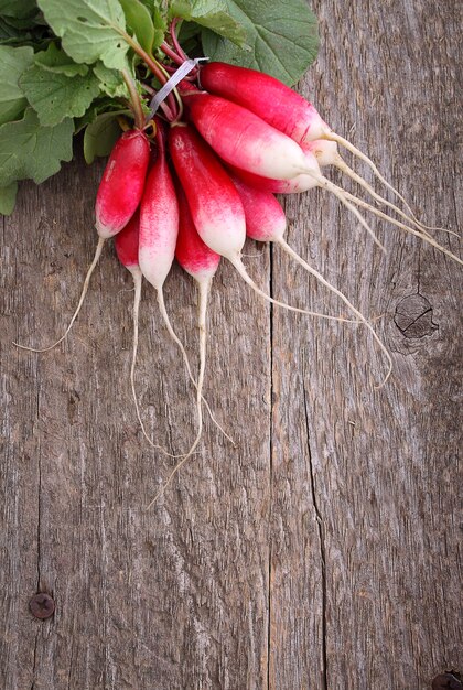 Bouquet de radis mûrs sur un vieux fond en bois