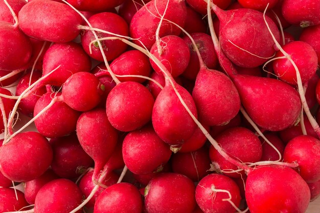 Un Bouquet De Radis De Printemps Frais Sur La Table