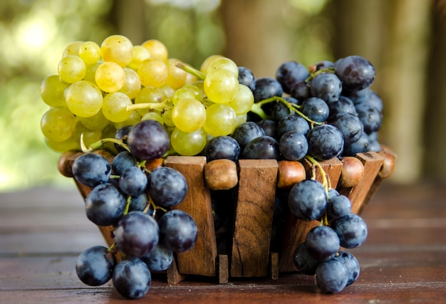 Bouquet de raisin frais dans un panier en bois.