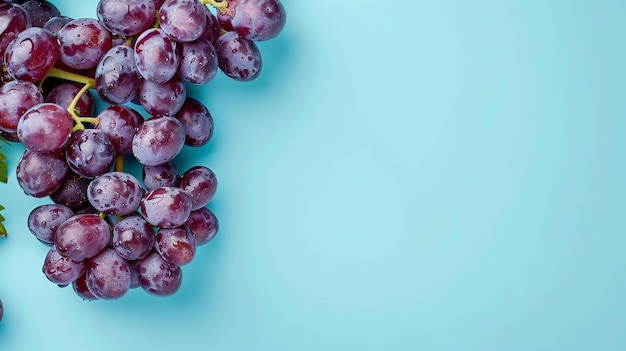 Photo un bouquet de raisins violets juteux mûrs avec des gouttes d'eau sur un fond bleu le concept de nourriture biologique et saine closeup copier l'espace