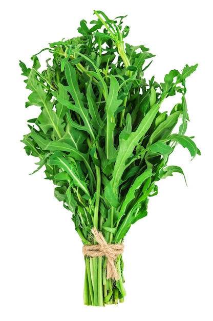 Bouquet de roquette sur fond blanc