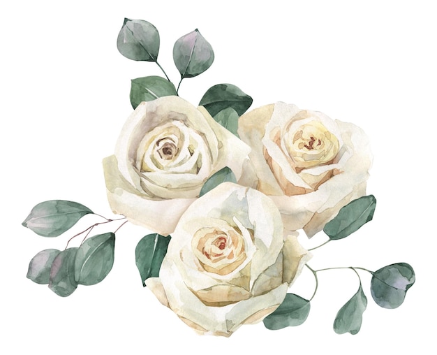 Bouquet de roses blanches et d'eucalyptus dessinés à la main à l'aquarelle Parfait pour les invitations et les médias sociaux