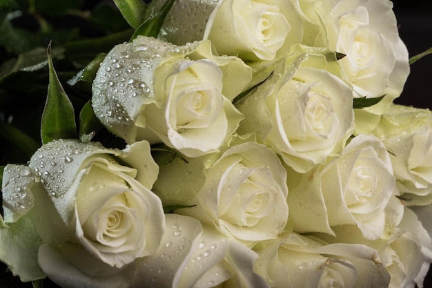 Bouquet de roses blanches