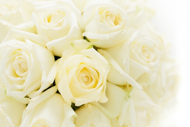 Bouquet de roses blanches