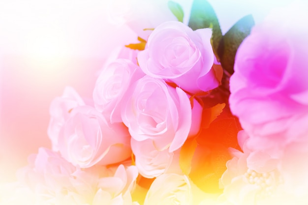 Bouquet de roses colorées douces dans un style doux et flou