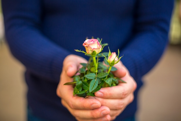 bouquet de roses dans les mains d&#39;un homme gros plan