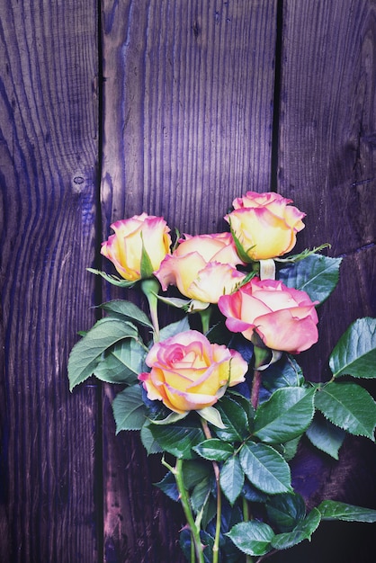 Bouquet de roses en fleurs