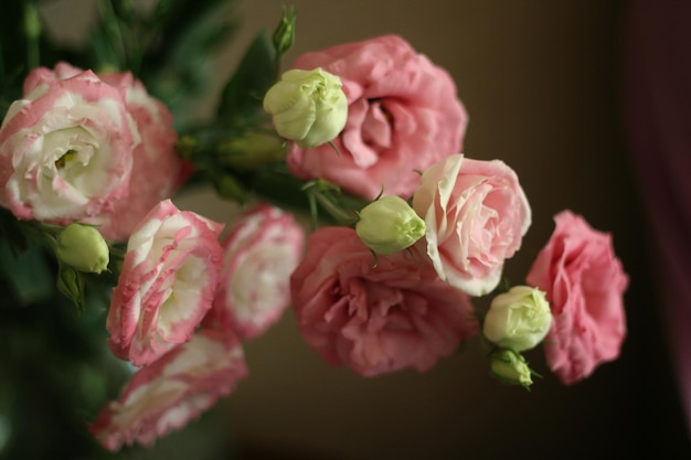 Bouquet de roses à l'intérieur Fleurs