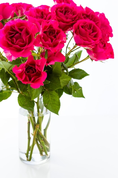 Bouquet de roses de jardin roses sur fond blanc.