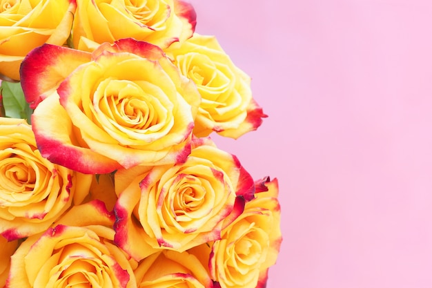 Bouquet de roses jaune-rouge sur une table rose.