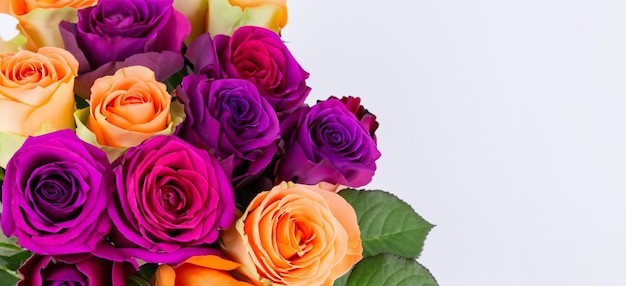 Bouquet de roses multicolores sur fond blanc Des fleurs représentant l'amour