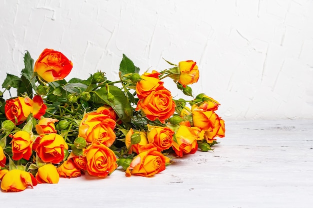 Bouquet de roses orange vif sur fond blanc