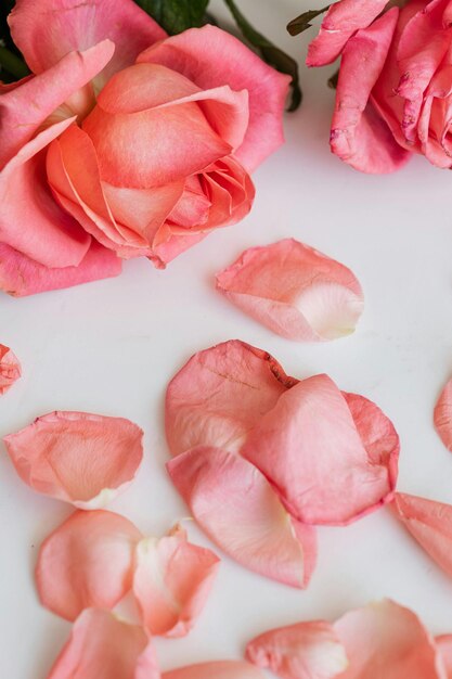 un bouquet de roses avec une qui est tombée