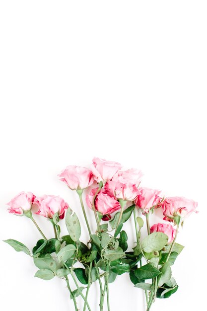 Bouquet de roses roses sur blanc.