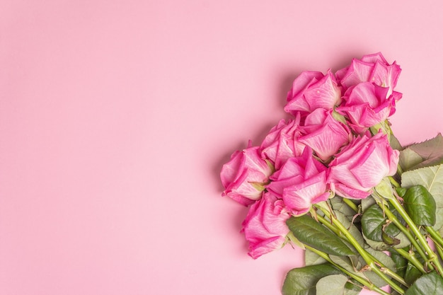 Un bouquet de roses roses douces isolées sur une surface rose