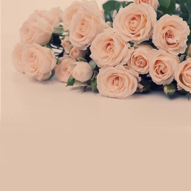 Bouquet de roses roses avec espace libre pour le texte