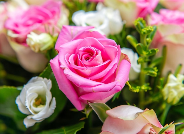 Un bouquet de roses roses est dans un vase