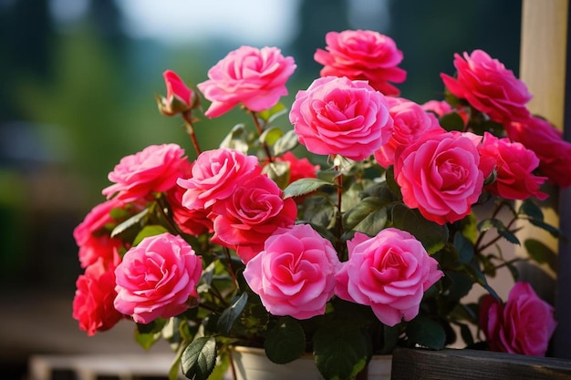 un bouquet de roses roses avec le mot « bienvenue » sur le dessus.