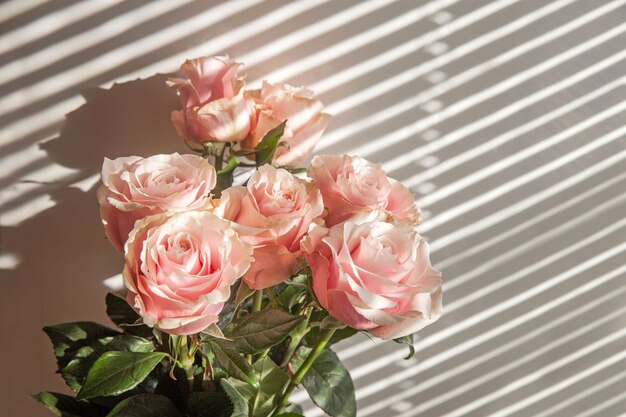 Un bouquet de roses roses, l'ombre des stores sur fond blanc. Mise au point sélective.