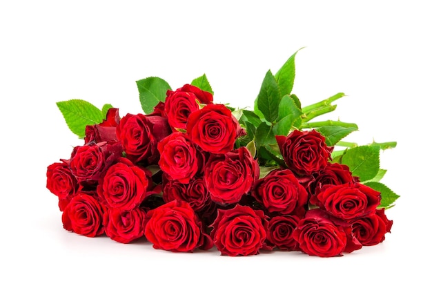 Bouquet de roses rouge vif sur fond blanc