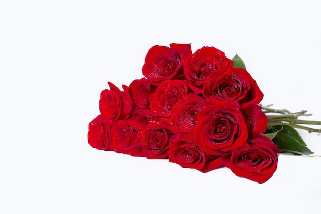 Bouquet de roses rouges (bordeaux) sur une surface blanche. Gouttes d'eau. Place pour le texte. Fermer.