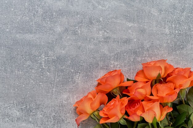 Bouquet de roses rouges sur fond de béton gris.