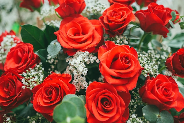 Bouquet de roses rouges fraîches fleur fond clair