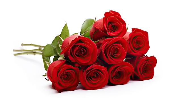 Bouquet de roses rouges isolé sur fond blanc
