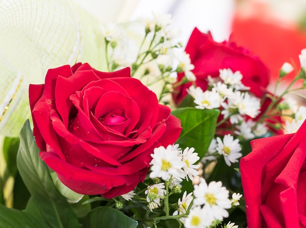 Bouquet de roses rouges